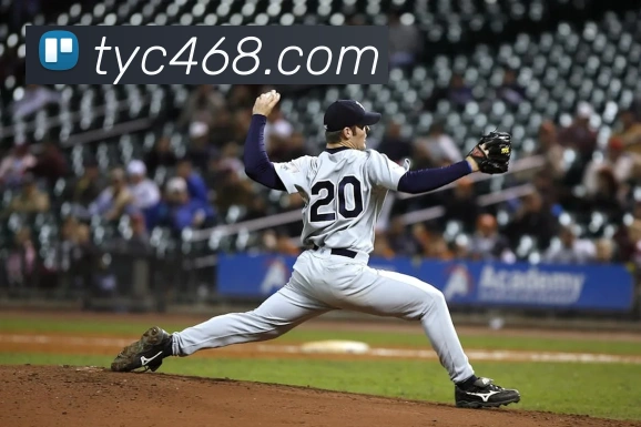 App Interface Preview