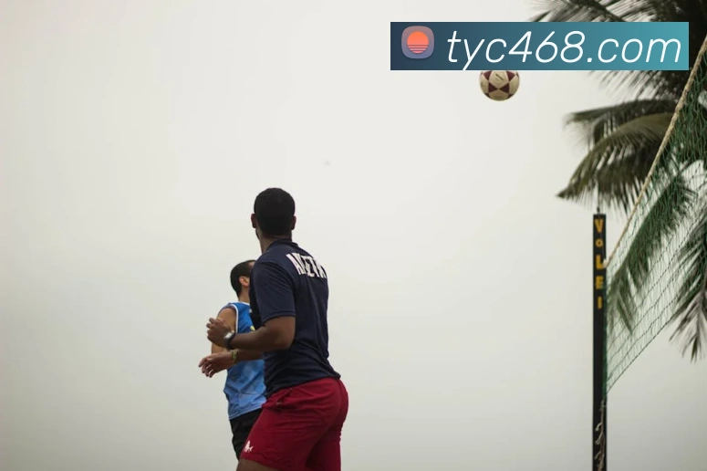 太阳城娱乐APP 封面图